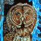 Barred Owl